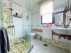 Seletar Hills Estate (D28), Semi-Detached #461336781